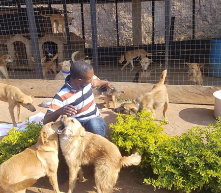 Paterne Bushunju, con alcuni cani ospitati nel Rifugio “Sauvons nos Animaux” della Repubblica Democratica del Congo 